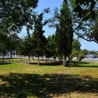 Керчь. Сквер "Крымэнерго" летом. :: Пётр Чернега