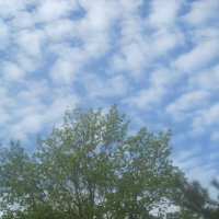 Небо весны :: Елена Семигина