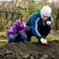 Передача опыта :: Александр Силинский