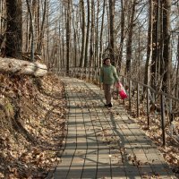 Весной можно и горы прогуляться :: Игорь Сикорский