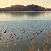 *** :: Aleksandr Gal