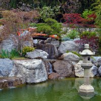 весна в японском саду :: Ольга 