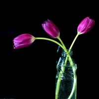 Остатки былой красоты... :: Светлана 