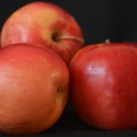 . :: Дмитрий Шароватов