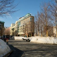 Весна пришла... :: Лютый Дровосек