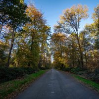 Дорога дальняя... :: Николай Гирш