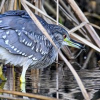 в тихой заводи :: Осень 