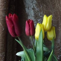 Букет :: Freddy 97