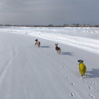 На озере :: Anna Ivanova