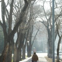 Тепло в Ростове :: Николай Семёнов