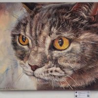 "Цель" :: Татьяна Машошина