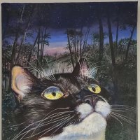 "Принцесса Дикого леса" :: Татьяна Машошина