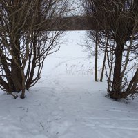 Начало марта в Измайловском парке :: Андрей Лукьянов Начало марта в Измайловском парке :: Андрей Лукьянов