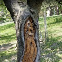 "Лесовик" (лесная скульптура) :: Валерий Кокорев