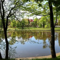 В Калининграде :: Любовь Сахарова