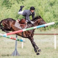 Конкур :: SanSan 