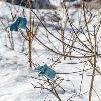 Закончилась зима :: Валерий Иванович
