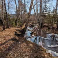 Течёт речка :: Андрей Хлопонин