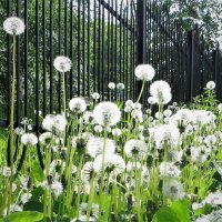 К полету готовы :: Лариса С. К полету готовы :: Лариса С.