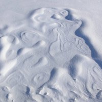 Узоры на снегу :: светлана льдокова