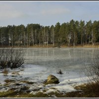 Пригрело :: Aleksandr Gal