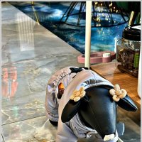 Собачка в магазине. :: Валерия Комова