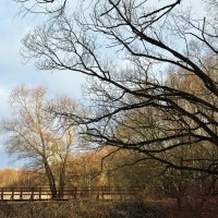 Природа просыпается :: Мария - Maria