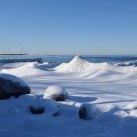 Февраль, Балтийское море и побережье, Калининградская область :: Рита Симонова