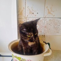 Принцэса :: Сергей Кочнев