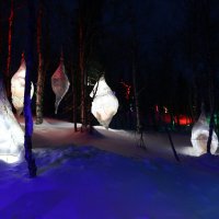 Вечер в Таинственном лесу :: Ольга 