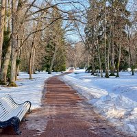 Любимые аллеи :: Лия ☼