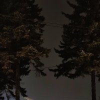 Ночь :: Андрей 