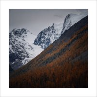 * :: Александр Иванов