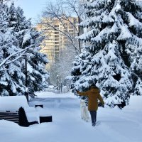 Прогулка :: viktor 