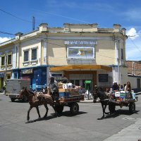 Гужевой колумбийский транспорт. :: unix (Илья Утропов)