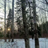 Вечер :: Сапсан 