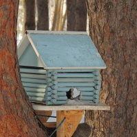 Избушка без окон и дверей . :: Вик Токарев Избушка без окон и дверей . :: Вик Токарев