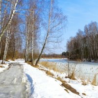 Весенний деревенский пейзаж. :: Милешкин Владимир Алексеевич 