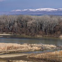 Март в Краснодарском крае :: Игорь Сикорский