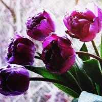 Ещё радует букетик :: Людмила Смородинская