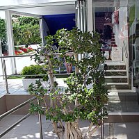 Барселона. :: Владимир Драгунский