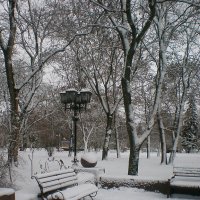 Зимний день :: Роман Савоцкий