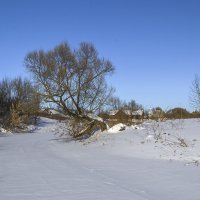 Речка Каменка :: Сергей Цветков