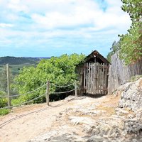 Окраины Обидуша :: Ольга 