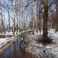 Так хочется походить по лужам... :: Наталья ***