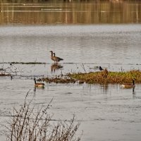 Озеро Липпа :: Jakob Dick