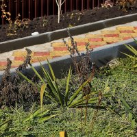 Тропинка :: Юрий Гайворонскiий