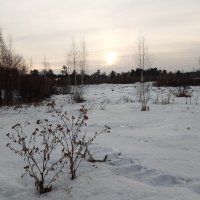 На рассвете дня :: Галина Минчук