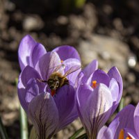 *** :: Александр. AVG100 --- *** :: Александр. AVG100 ---