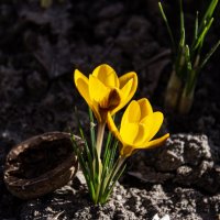 *** :: Александр. AVG100 ---